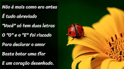 Projeto 2